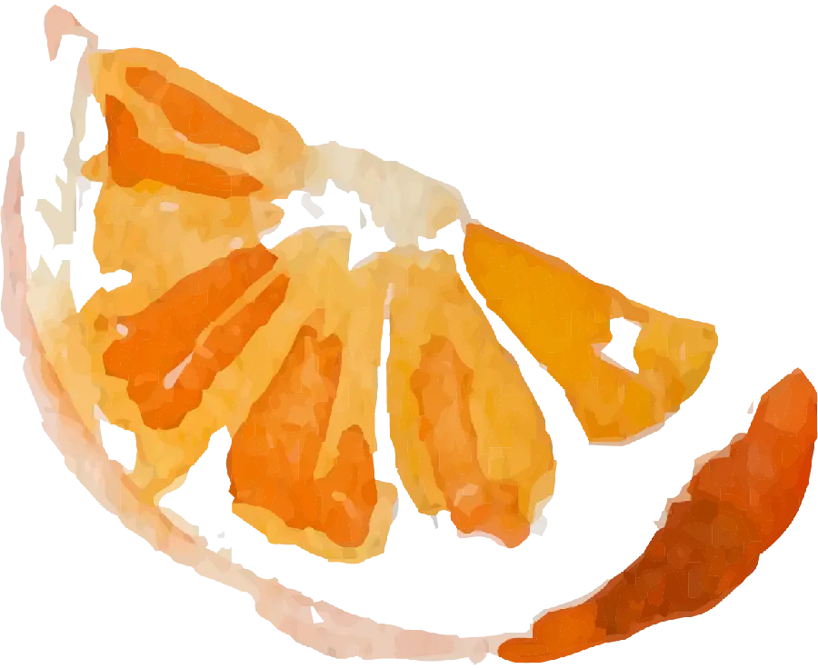 عکس نقاشی نارنگی به سبک خاص و شیک با بهترین کیفیت png