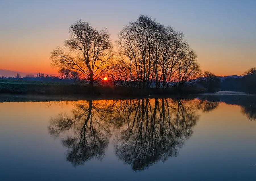 پر بازدیدترین تصویر پروفایل رویایی با دو درخت کم برگ در کنار دریاچه 