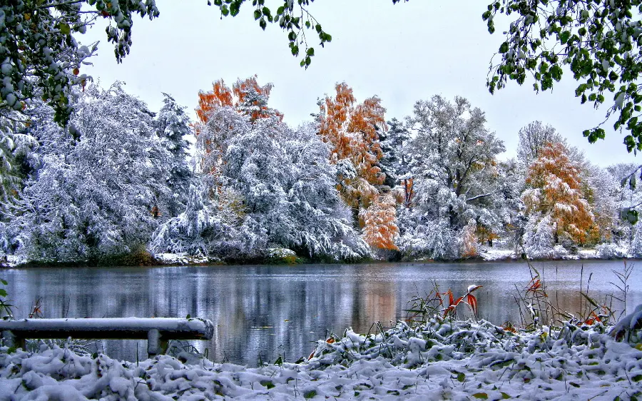 عکس زمینه برکه ی یخی و درختان پوشیده از برف در فصل شگفت انگیز زمستان