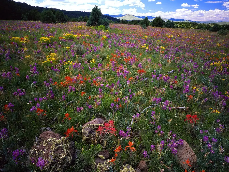 دانلود تصویر زمینه ساده و رایگان با کیفیت بالا برای مانیتورهای قدیمی