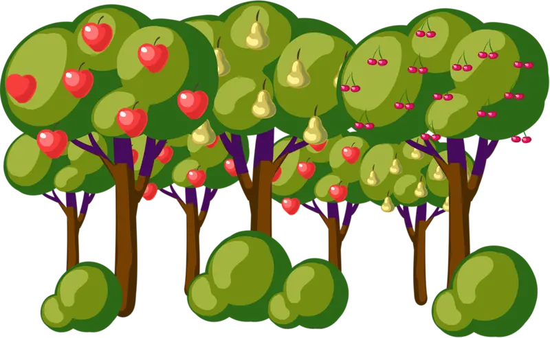دانلود عکس پی ان جی png رایگان درخت های میوه سیب و گلابی و آلبالو 