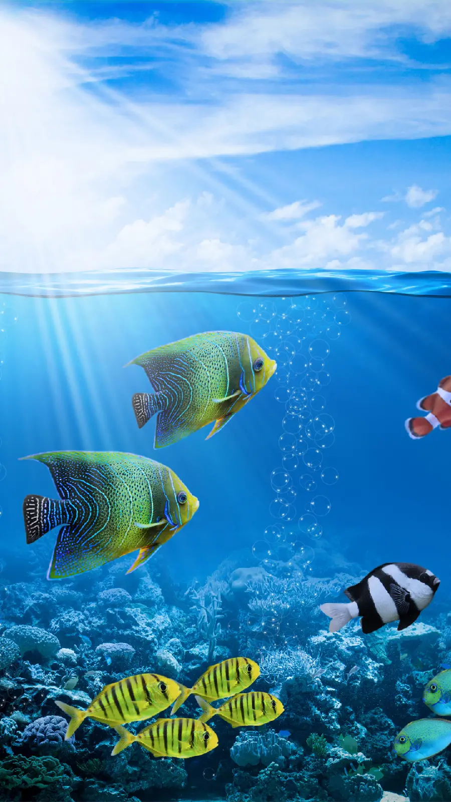 پس زمینه آیفون طرح اقیانوس انیمیشنی پر از ماهی های رنگارنگ