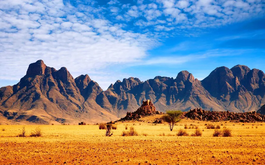پس زمینه حیات وحش صحرا نامیبیا سرزمینی برای عاشقان حیات وحش