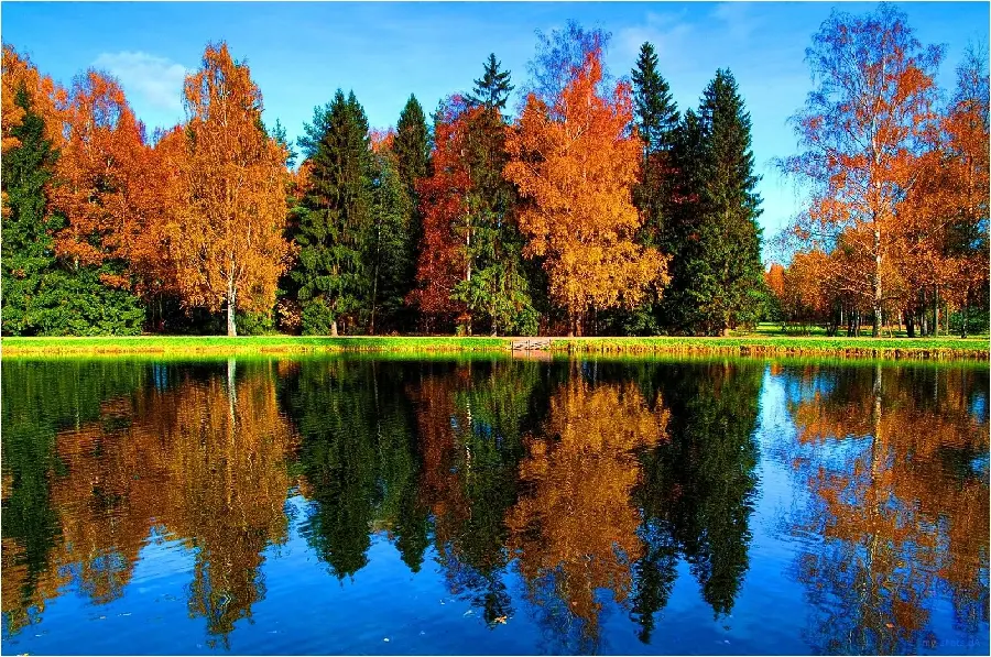 بکگراند فوق العاده زیبای دریاچه در کنار کوه و درختان پاییزی 