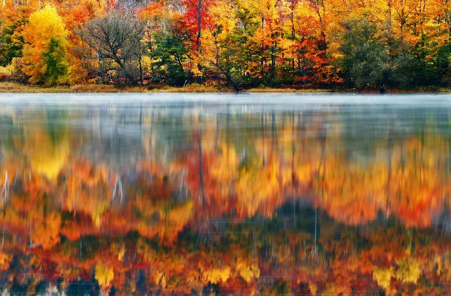 زیباترین عکس صفحه پاییزی با رنگ های گرم و دلنشین 