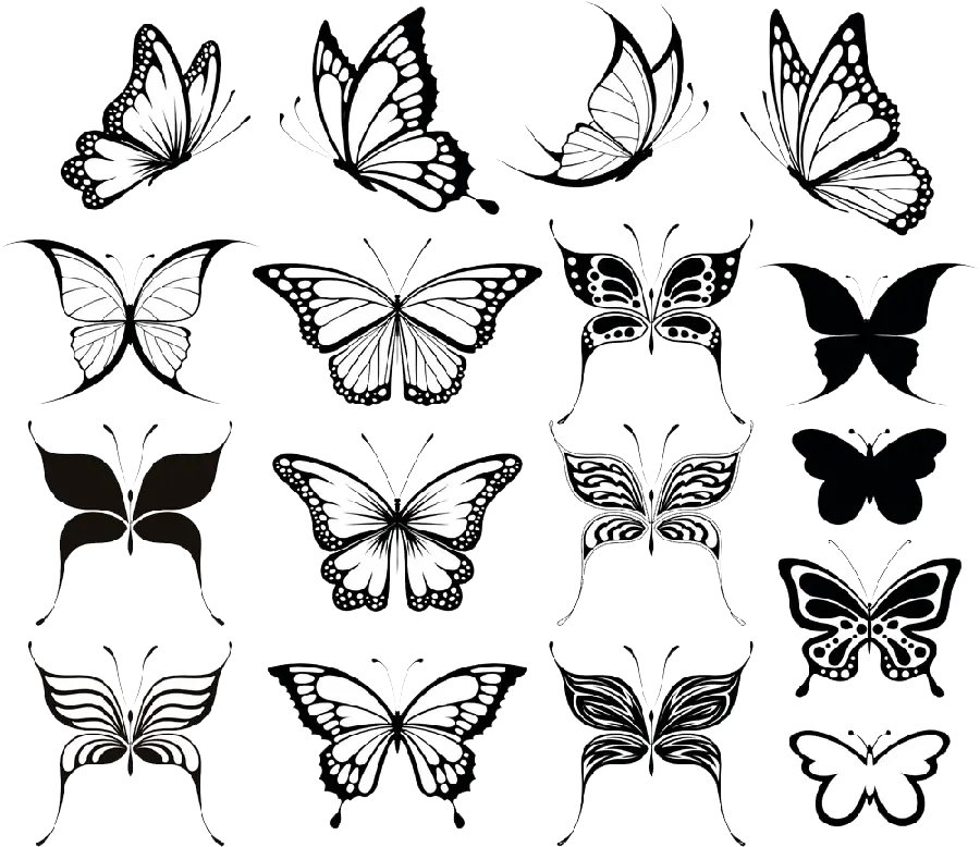 جدیدترین تصویر PNG انواع مختلف طرح پروانه با کیفیت عالی