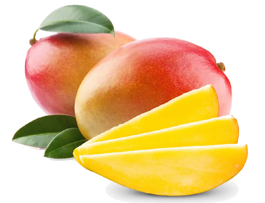 پی ان جی PNG به روز میوه محبوب انبه با کیفیت بسیار بالا