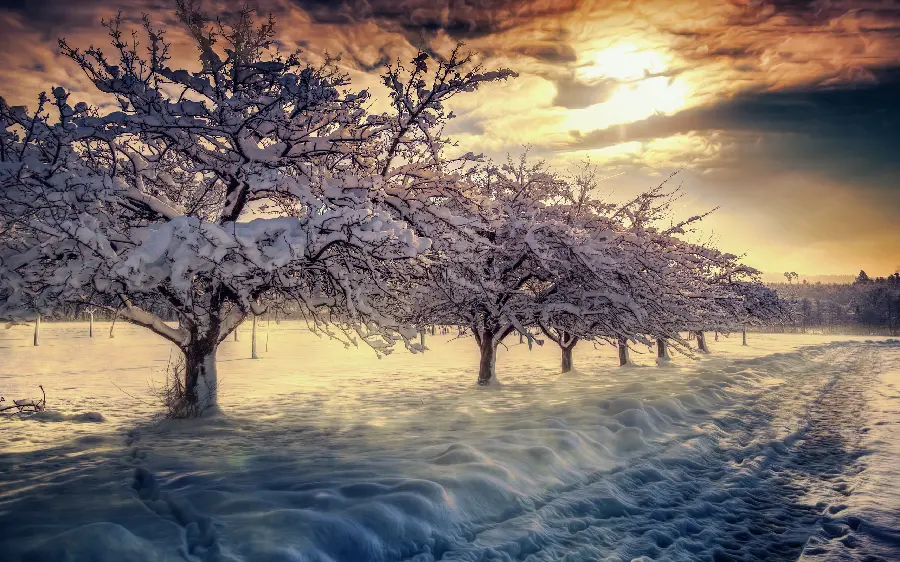 تصویر استوک رایگان و با کیفیت صبح دل انگیز زمستانی و برفی 