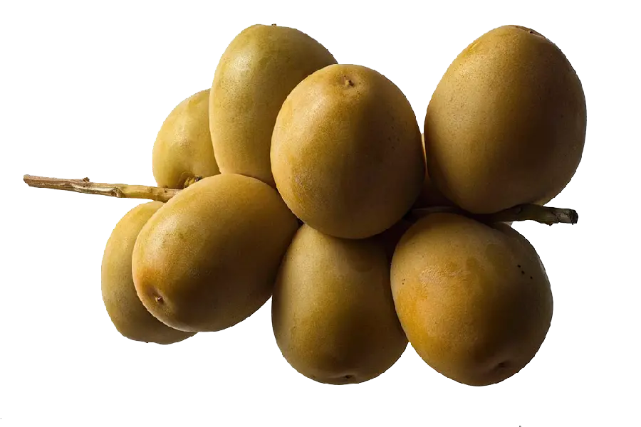 پی ان جی PNG دور بری شده کیوی های ترش مزه روی شاخه درخت