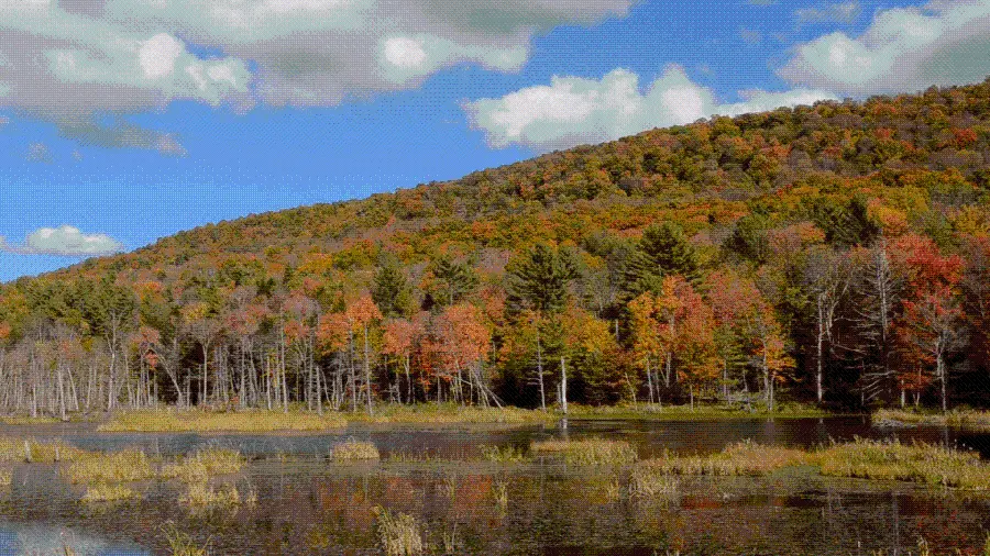 تصویر زمینه رایگان و با کیفیت چشم انداز طبیعی فصل پاییز
