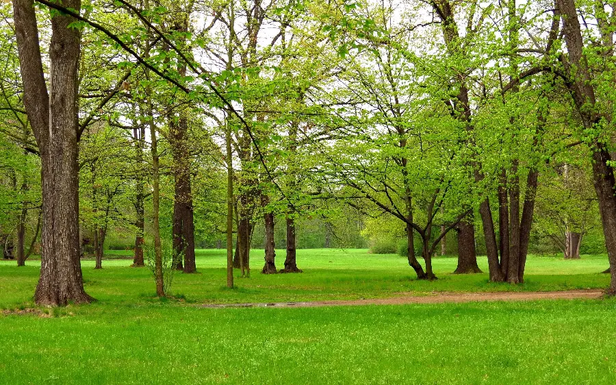 دانلود عکس منظره طبیعی سبز و بهاری با آب هوای خنک 