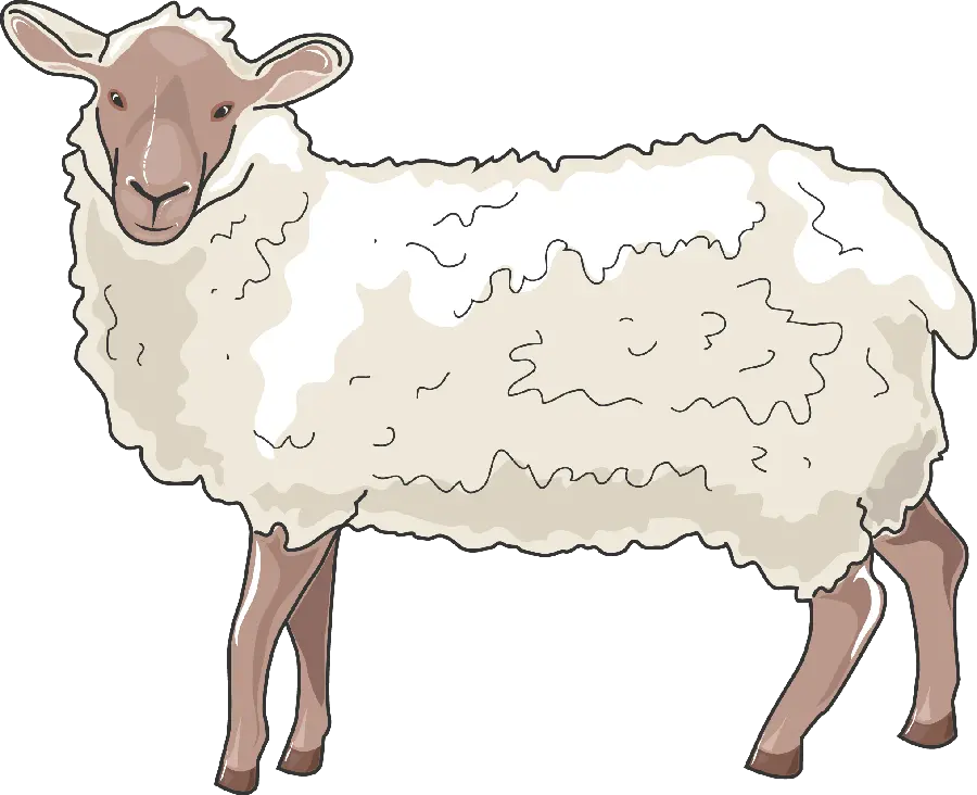 دانلود عکس پی ان جی png نقاشی گوسفند کارتونی انیمیشنی 