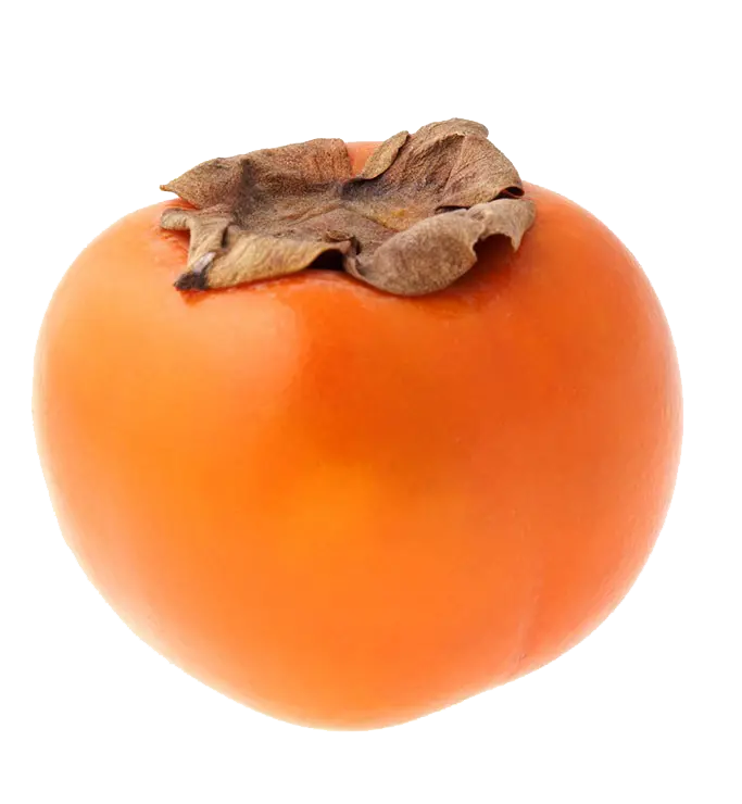PNG ساده میوه خوشمزه و تازه خرمالو با کیفیت بسیار بالا