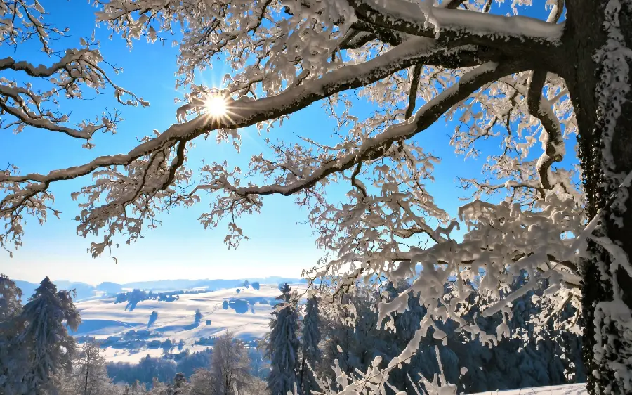 دانلود عکس زمینه رایگان با تم زمستانی برای لپتاپ و کامپیوتر 