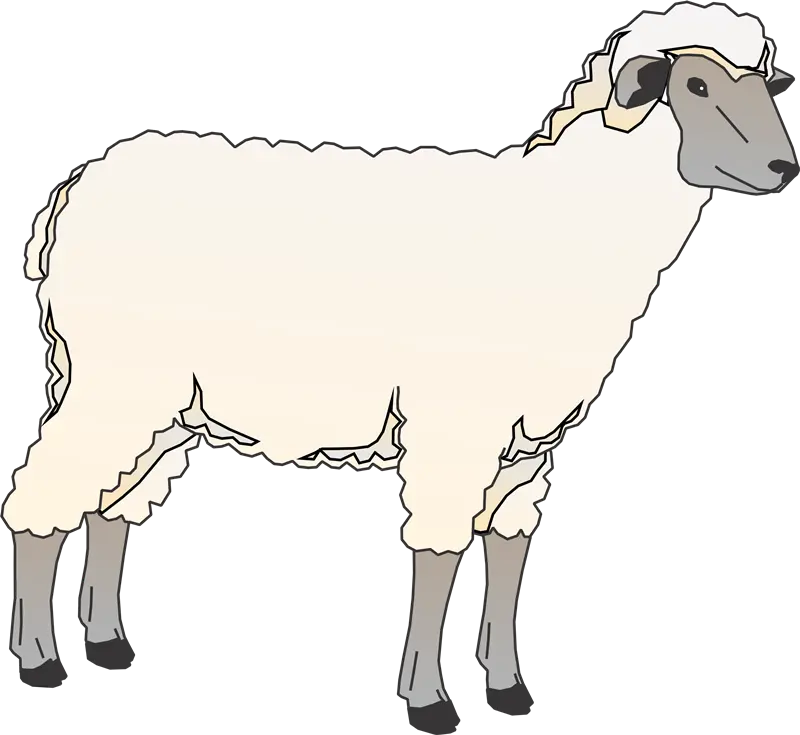 دانلود عکس نقاشی گوسفند لاغر و کم پشم پی ان جی PNG