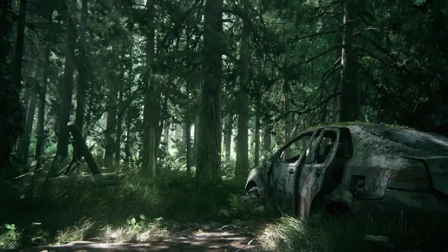 والپیپر باحال از ماشین خراب در میان جنگل عاری از انسان 