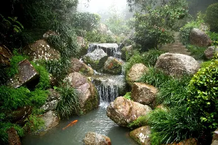 عکس رودخانه زیبا