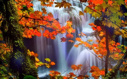 خاص ترین چشم انداز طبیعی آبشار بلند و پرآب در فصل پاییز