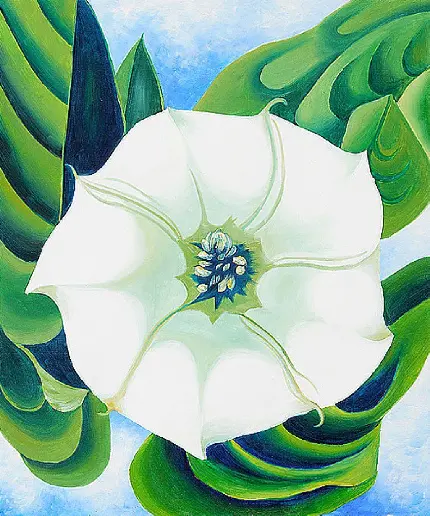 زمینه از نقاشی بسیار زیبا و محشر گلی سفید اثر جورجیا اوکیف