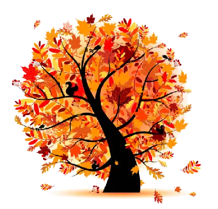 دانلود عکس PNG درخت پاییزی دوربری شده و بدون پس زمینه