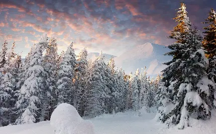 زیباترین تصویر زمینه افقی فصل زمستان برای لپتاپ 
