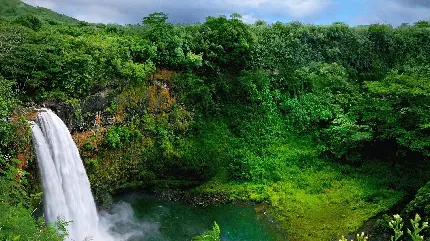 دانلود عکس طبیعت سرسبز خارق العاده به همراه آبشار فوق العاده محشر 