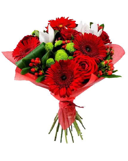 زیباترین عکس گل رز قرمز