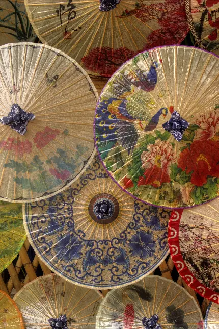 تصویر خارق العاده از چترهای ژاپنی با نقوش هنری برای صفحه چت واتساپ 