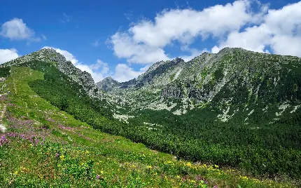 دانلود عکس جذاب و خاص طبیعت کوهستانی سرسبز مناسب پس زمینه 