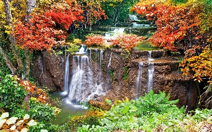 دیدنی ترین تصویر چشم انداز طبیعی آبشار در فصل پاییز