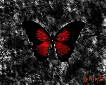 نقاشی گوتیک از یک پروانه قرمز مشکی با زمینه ابر و بادی