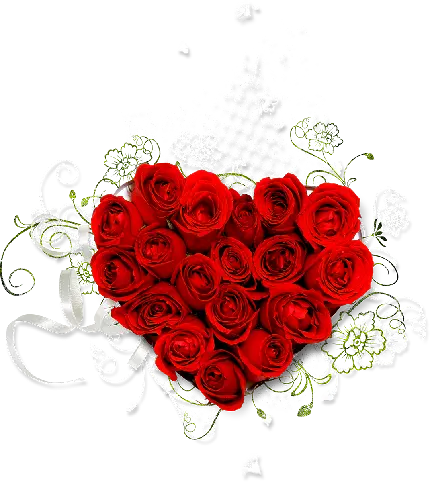 زیباترین عکس گل رز قرمز