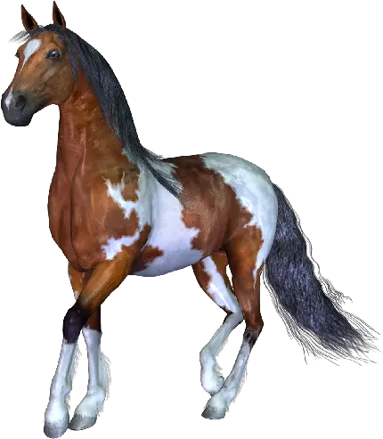 عکس PNG اسب سفید قهوه خالخالی با زمینه سفید 