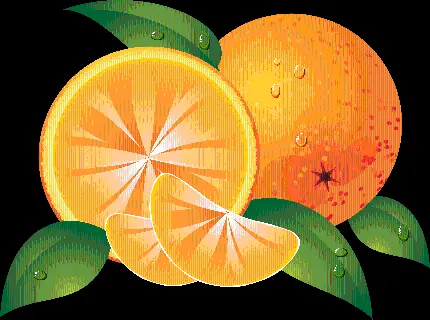 پی ان جی میوه نارنگی کارتونی با طراحی جالب و تماشایی