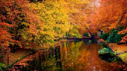 عکس استوک رویای شیرین سفر پاییزی به دریاچه جنگل هزار رنگ پاییزی