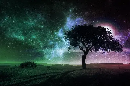 دانلود جدیدترین تصویر زمینه درخت تنها زیر آسمان شب در دشت
