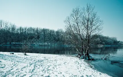 دانلود تصویر بسیار زیبا و دیدنی از فصل زیبای زمستان