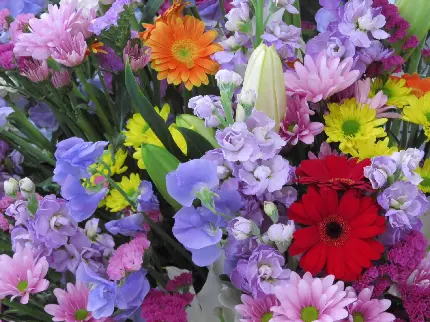 عکس خیلی قشنگ با طرح گل های رنگی برای دسکتاپ 