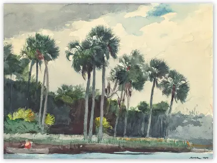 نقاشی وینسلو هومر |  پیراهن قرمز، هوموساسا، فلوریدا (1904)