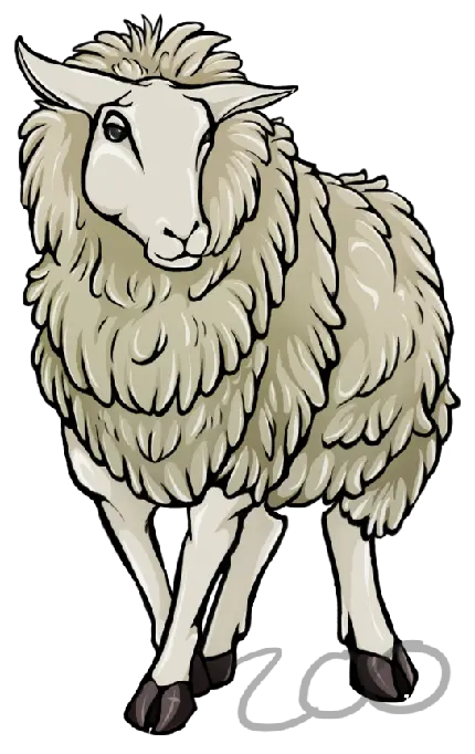 تصویر پی ان جی png نقاشی گوسفند کارتونی خوشگل و زیبا  