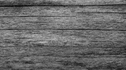 عکس طوسی برای پروفایل