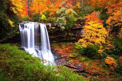 دانلود عکس خاص و دیدنی آبشار در جنگل با تم پاییز و بهترین کیفیت 