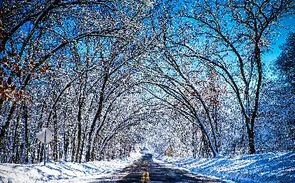 تصویر فصل زمستان زیبا در قابی از جاده میان درختان اطرافش 