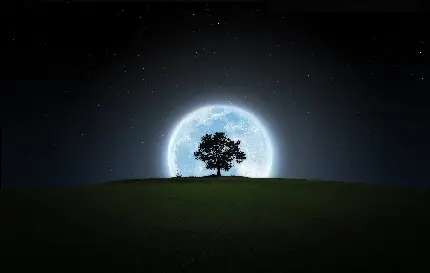 زیباترین عکس زمینه درخت تنها در شب با ماه کامل بزرگ