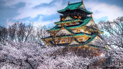 تصویر زمینه کامپیوتر از قصر چینی در میان شکوفه های گیلاس