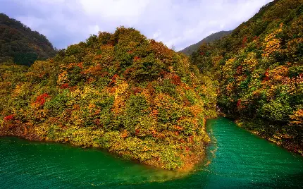 دانلود عکس زمینه دریاچه درکنار کوه در فصل پاییز برای لپتاپ و دسکتاپ 