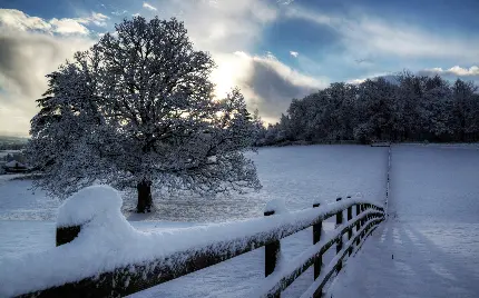 دانلود عکس استوک خاص فصل زمستان برای چاپ 