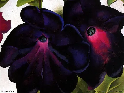 تصویر از نقاشی گل اطلسی بنفش از آثار معروف جورجیا اوکیف