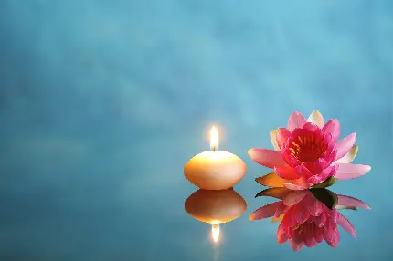 تصویر زمینه شمع و گل نیلوفر آبی با بهترین کیفیت برای کامپیوتر