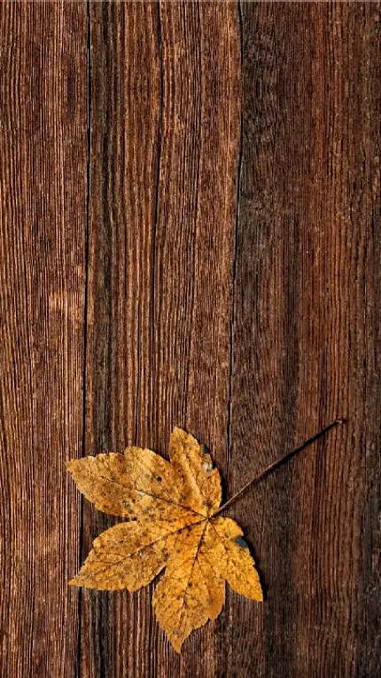 تصویر زمینه از تک برگ پاییزی روی تخته چوب برای پروفایل 